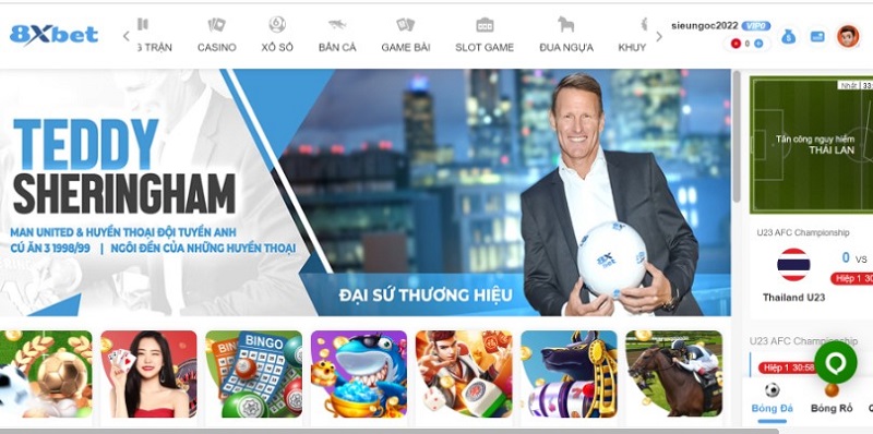 đại sứ thương hiệu của 8xbet